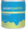 Asian Paints Ancillaries